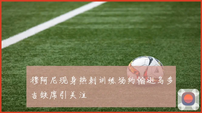 穆阿尼现身热刺训练场约翰逊乌多吉缺席引关注